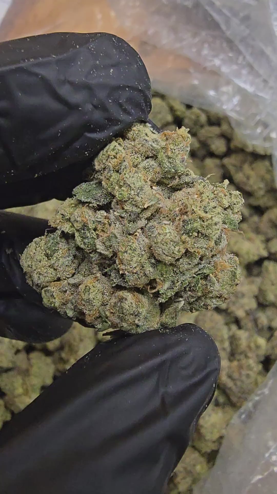 berry pie | top tier | flower berry pie | top tier | flower