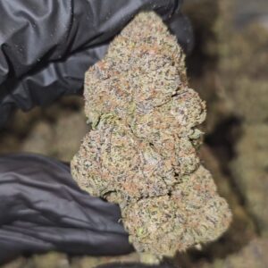 black runtz | top tier | flower
