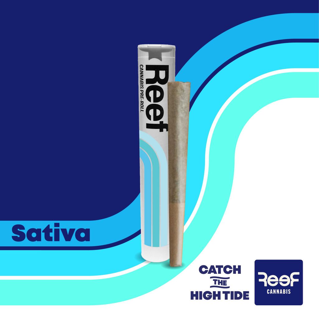 Blueberry Diesel 1g Pre-Roll Blueberry Diesel 1g Pre-Roll