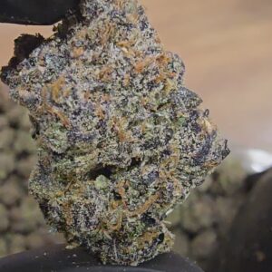 candy heart | first cut exclusive | flower | on sale