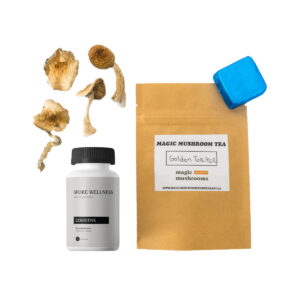 First-Timer Magic Mushroom Kit - Psych 101 | 28grams