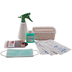 Fresh Mushrooms Magic Mushroom Grow Kit | Psychedelic Dispensary Online