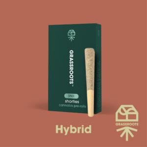 Garlic Cookies 0.4g ea | 5-Pack Pre-Roll Pack