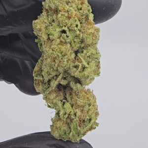lambo og | top tier | flower