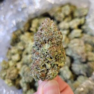 limesicle | top tier | flower
