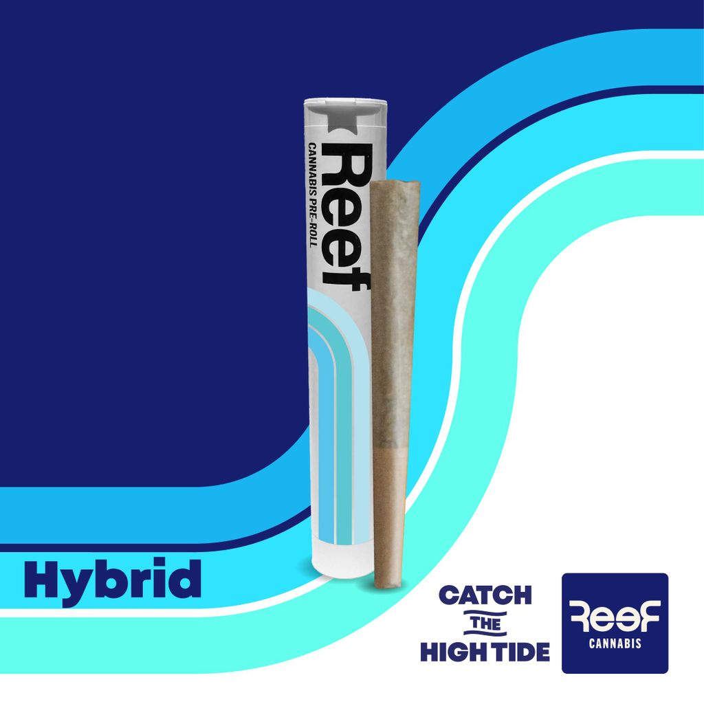 Nuclear Muffins 1g Pre-Roll Nuclear Muffins 1g Pre-Roll