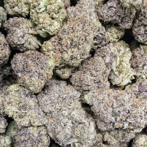 pacific drizzle | boutique tier | flower