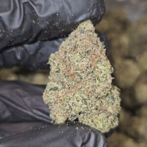 slurpee | top tier | flower