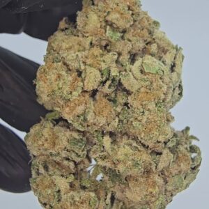 tropical cookies | top tier | flower