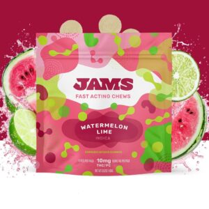 Watermelon Lime Fast-Acting 10mg ea | 10-Pack Fruit Chews
