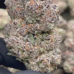 white cherry runtz | first cut exclusive | flower